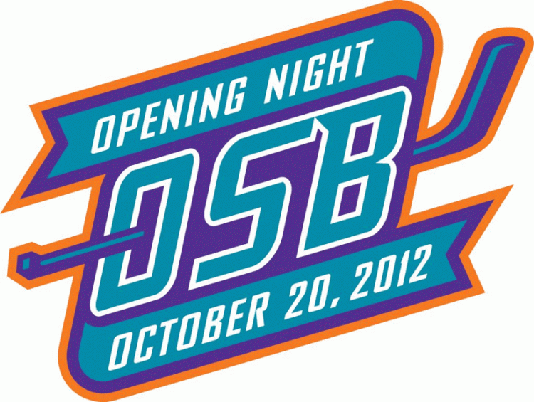 orlando solar bears 2012 misc logo iron on heat transfer